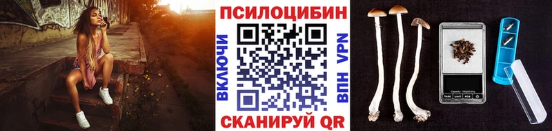 Псилоцибиновые грибы мицелий  Светогорск 