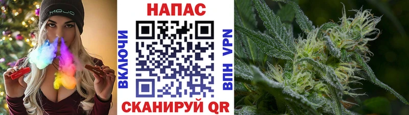 площадка Telegram  где продают наркотики  Светогорск  Конопля семена 